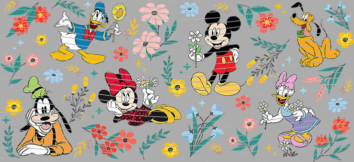 16oz Disney style-D-237